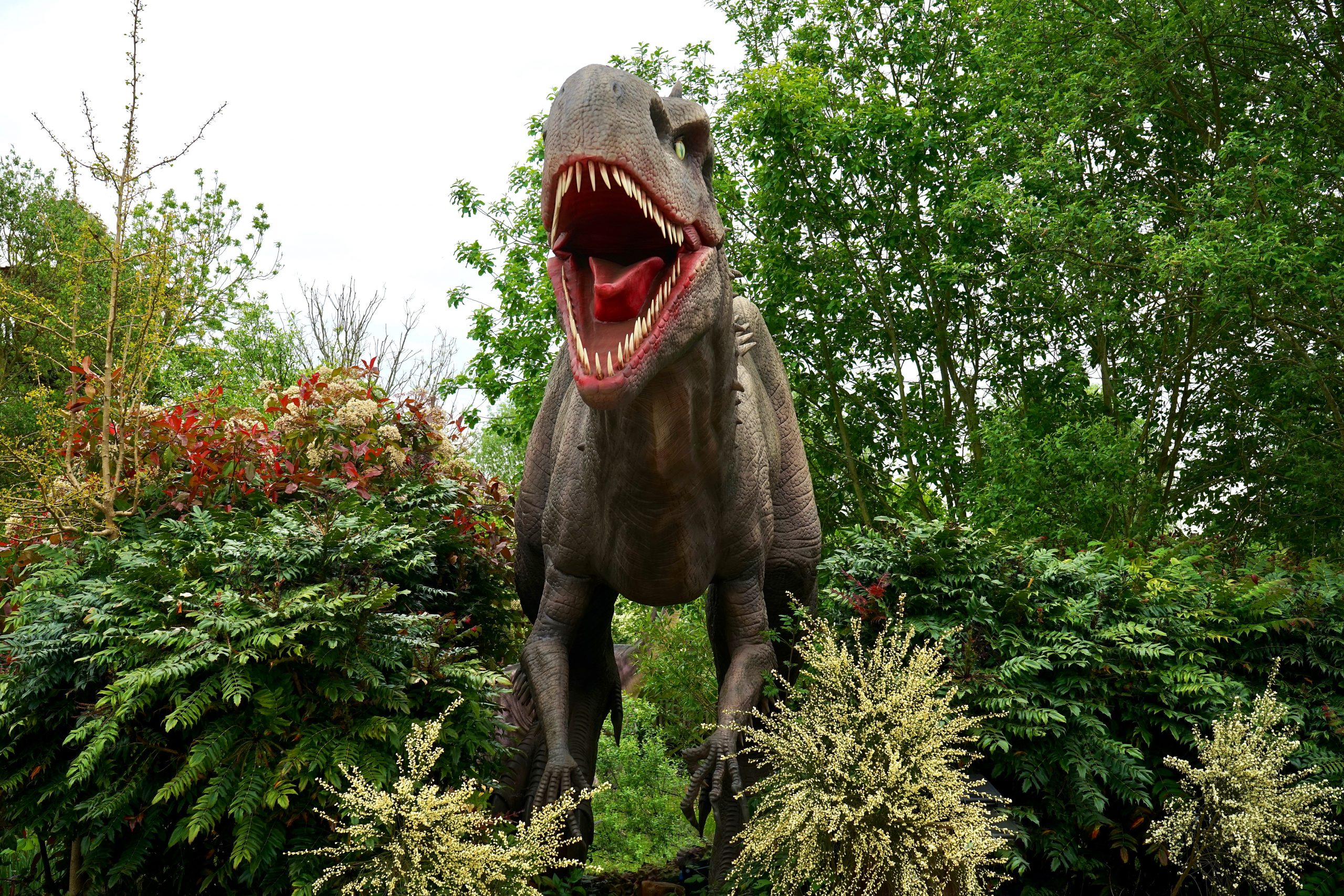 dinosaur-evergreen-figure-garden-410856