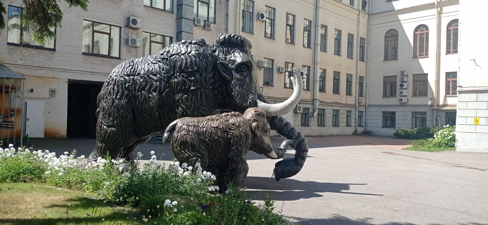 «Мамонт и Мамонтёнок»